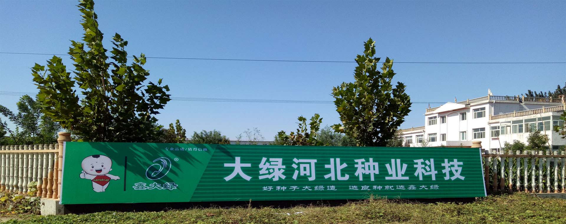 公司簡(jiǎn)介